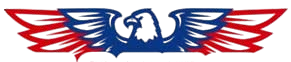 Eagle Icon 2